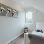 Neu 